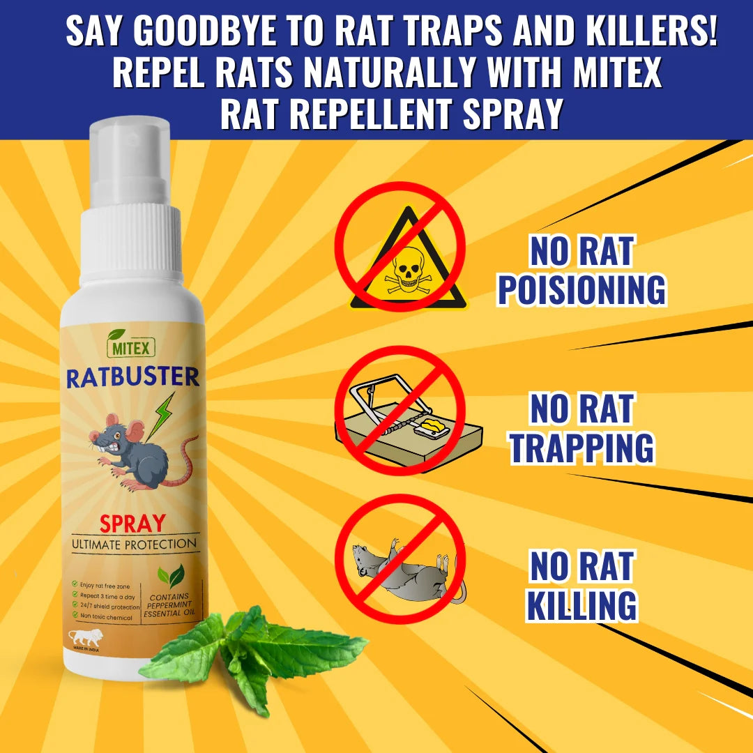 Anti-Rat Herbal Spray|| Rat prevention Spray